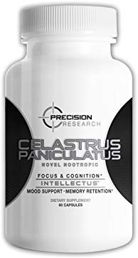 CELASTRUS PANICULATUS - NOVEL NOOTROPIC (INTELECT TREE)